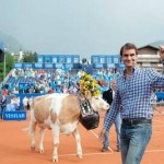 Twitter Reacts to Gstaad Giving Roger Federer A Cow Named Desirée